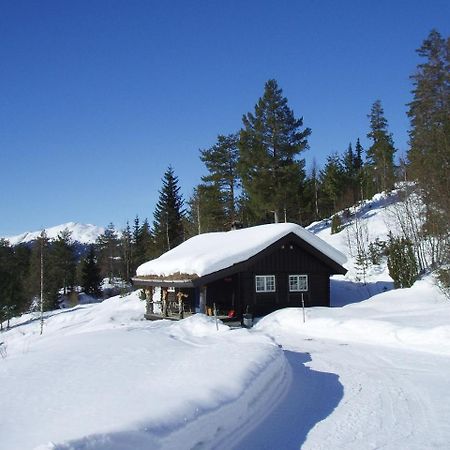 Hogstul Hytter - Skojestua - 2 Bedroom Cottage Tuddal Dış mekan fotoğraf